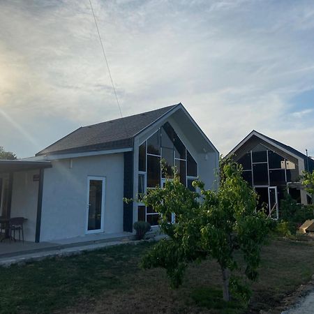 Улица Лазурна Hotel Тюленово Стая снимка